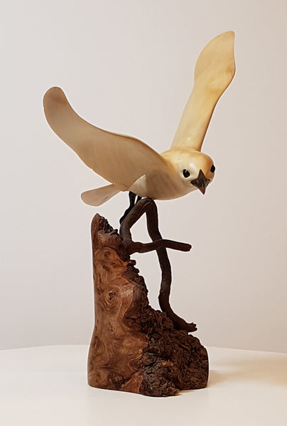 Ivory Gull - Original Wood Carving