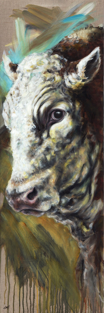 Big Ted - A Portrait of a Simmental Bull