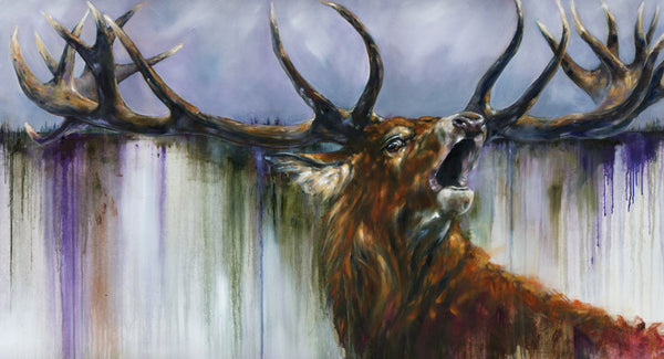 Dawn Call - Limited Edition Print A Portrait of a Highland Red Deer Stag